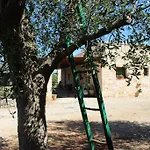 Masseria Tolla Oda ve Kahvaltı