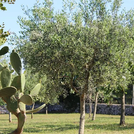 Masseria Tolla *