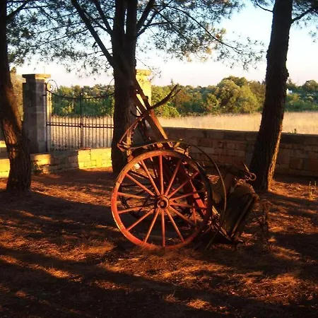 Masseria Tolla B&B 오스투니