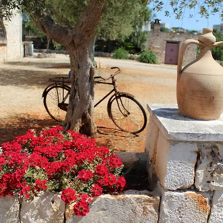Bed & Breakfast Masseria Tolla