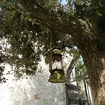 Masseria Tolla