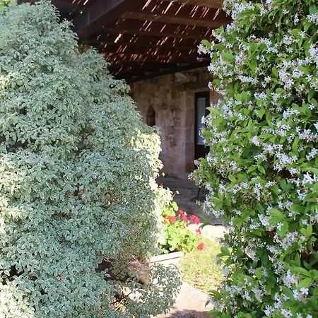 Masseria Tolla Bed & Breakfast 4*